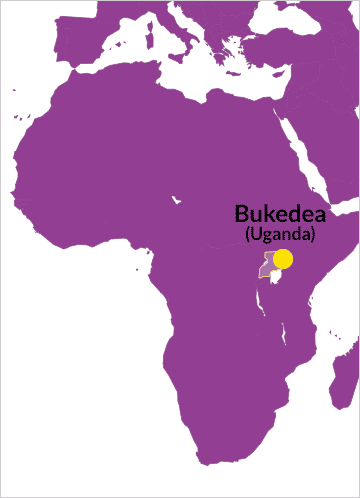 Karte von Afrika mit Verweis auf Bukedea in Uganda